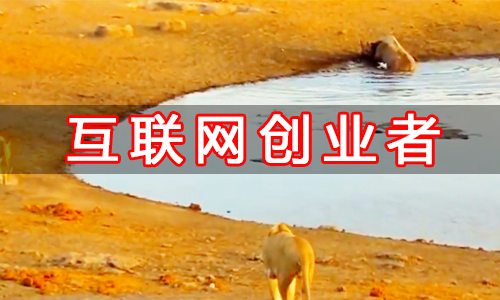 请注意!有互联网创业者“身陷泥潭”,望自救!